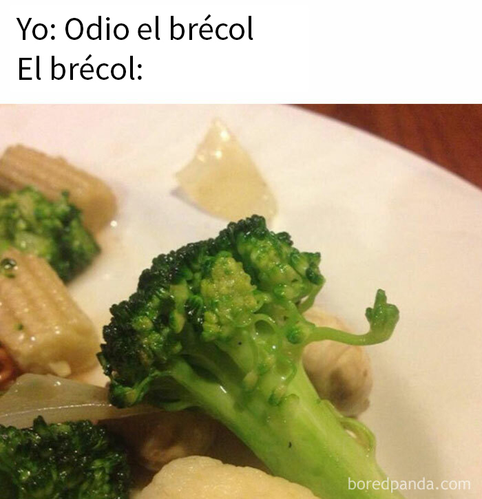 Meme divertido de comida con trozo de brócoli en un plato, burlándose de dislike a la verdura.
