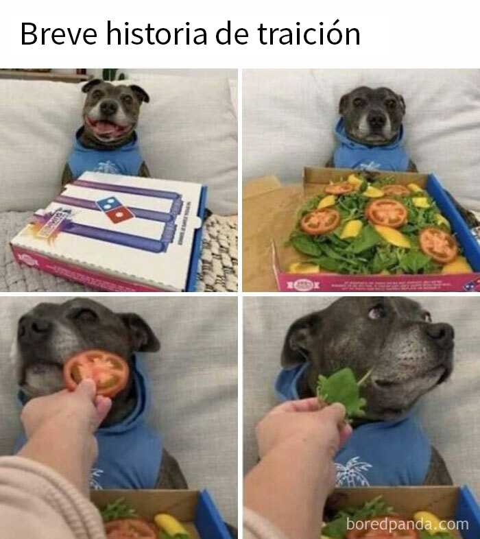 Perro confundido frente a pizza de vegetales, parte de un meme divertido sobre comida.
