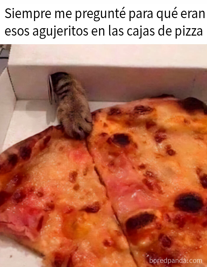 Hámster asomando por una caja de pizza ante dos porciones, humor gastronómico.