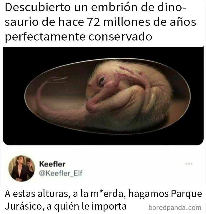 Embrión de dinosaurio conservado, acompañado de un comentario divertido sobre crear un Parque Jurásico.