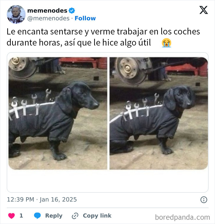 Perro vestido como portaherramientas en un taller, creando un meme caótico y divertido.