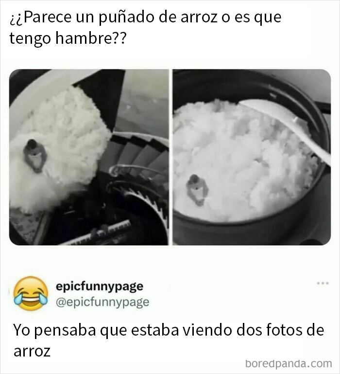 Hombre bajando por escaleras blancas comparado con arroz en una olla. Memes caóticos de la vida.
