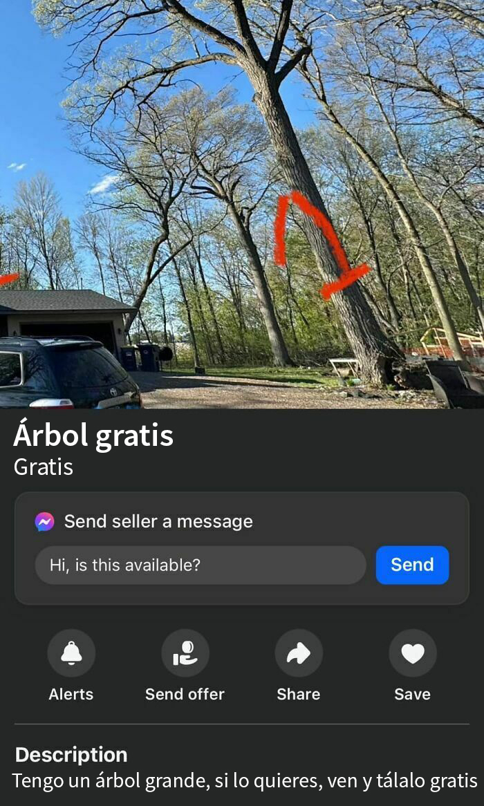 "Ven gratis a hacer un trabajo que suele costar miles de $"
