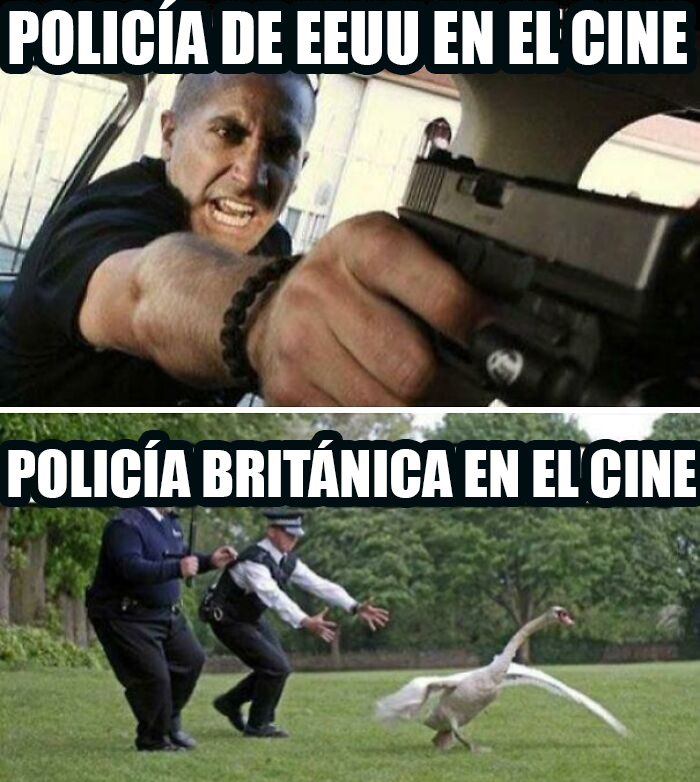 Meme británico caótico con comparación entre policía de EE.UU. agresiva y policía británica persiguiendo un cisne.
