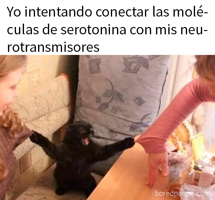 Gato negro divertido intentando conectar moléculas en meme sobre ciencia para aprender y reír a la vez.