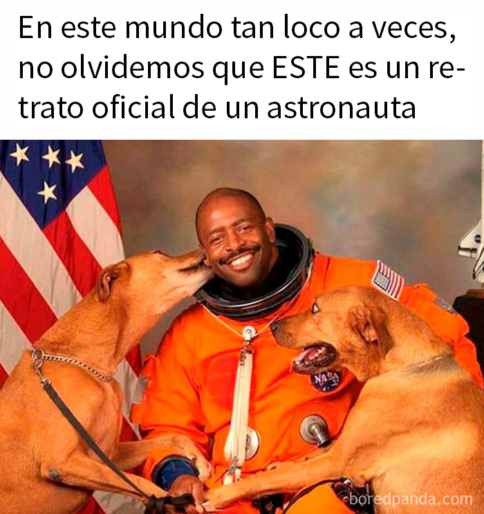 Astronauta sonriente en traje espacial junto a dos perros, imagen divertida relacionada con memes de ciencia y aprendizaje.