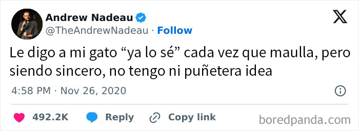 Tuit divertido sobre gatos y frases familiares, ejemplo de memes que quizá te resulten familiares para reírse.