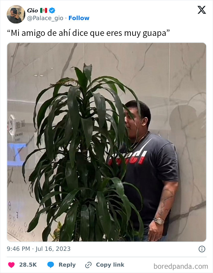 Hombre detrás de planta en meme divertido, un ejemplo clásico de memes sobre hombres universales.