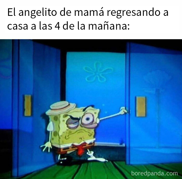 Memes sobre hombres mostrando a Bob Esponja cansado regresando a casa en la madrugada, humor universal y familiar.