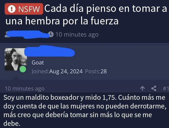 Comentario de un incel en comunidad online, exhibiendo comportamiento agresivo y siendo criticado por otros usuarios.