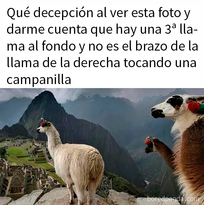 20 Divertidos memes sobre cosas de la vida para alegrártela un poco