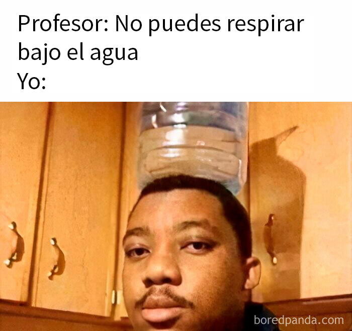 20 Divertidos memes sobre cosas de la vida para alegrártela un poco