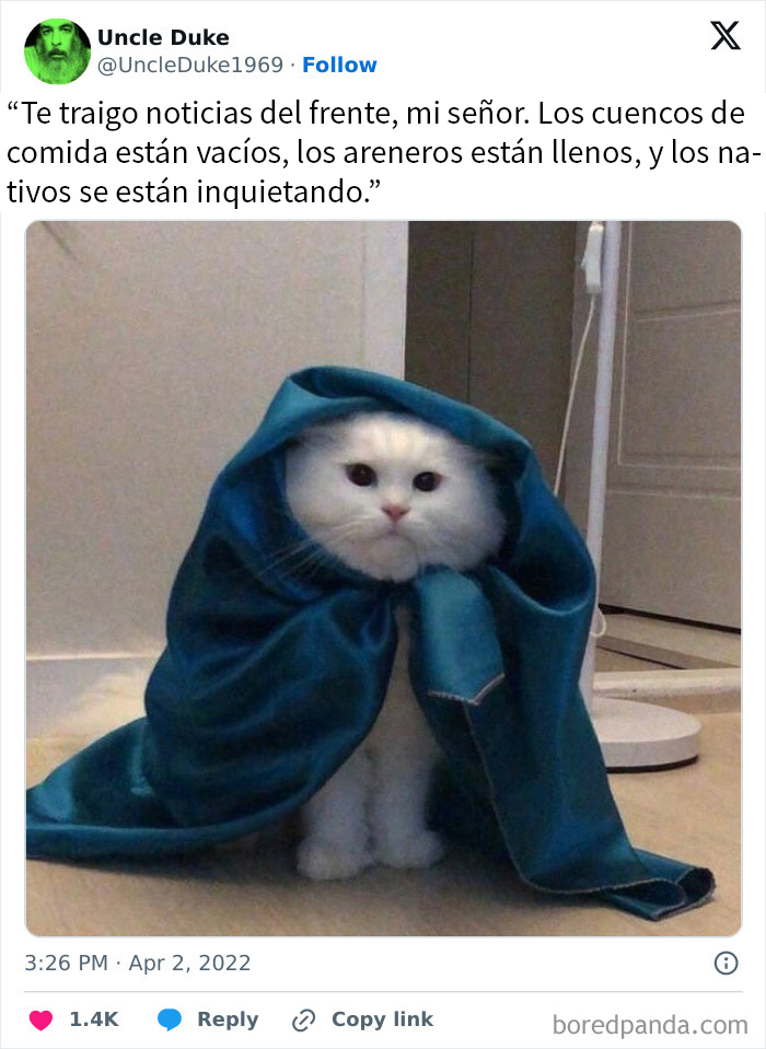 20 Divertidos memes sobre cosas de la vida para alegrártela un poco