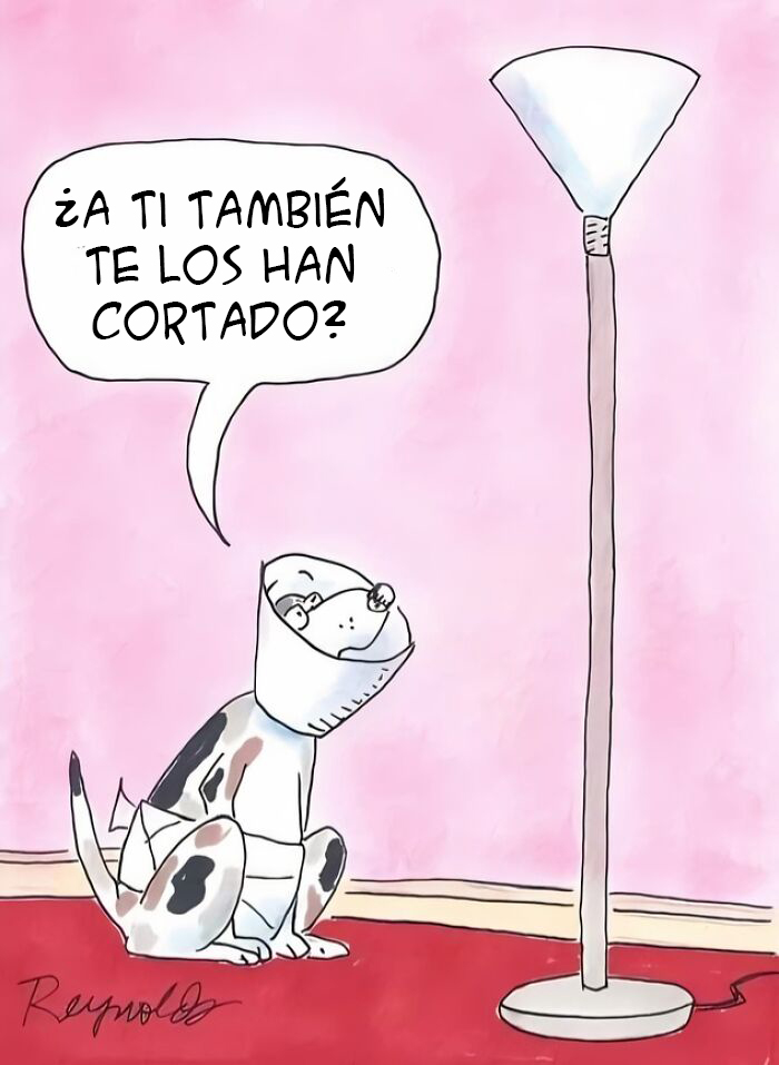 20 Divertidos memes sobre cosas de la vida para alegrártela un poco