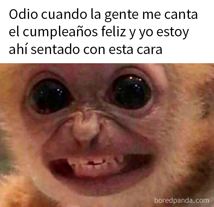 20 Memes aleatorios que son a la vez divertidos e ingeniosos
