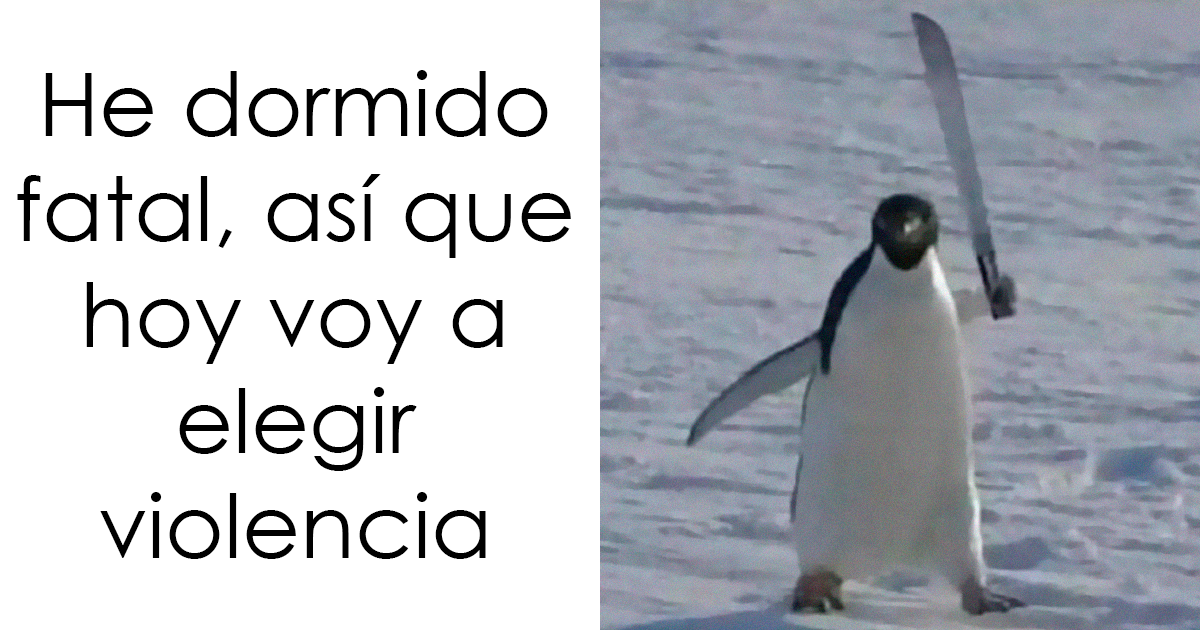 20 Memes aleatorios que son a la vez divertidos e ingeniosos