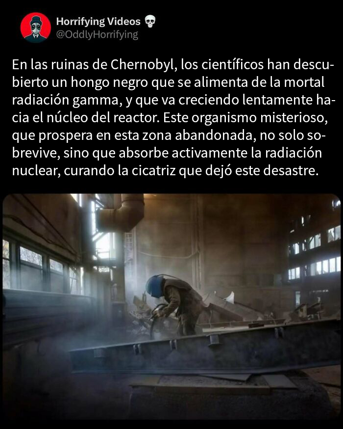 Hombre con equipo de protección en ruinas de Chernobyl con atmósfera oscura e inquietante, imagen extrañamente aterradora.