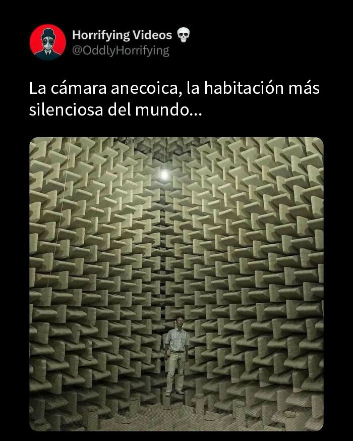 Hombre dentro de una cámara anecoica extrañamente aterradora que genera una inquietud profunda.