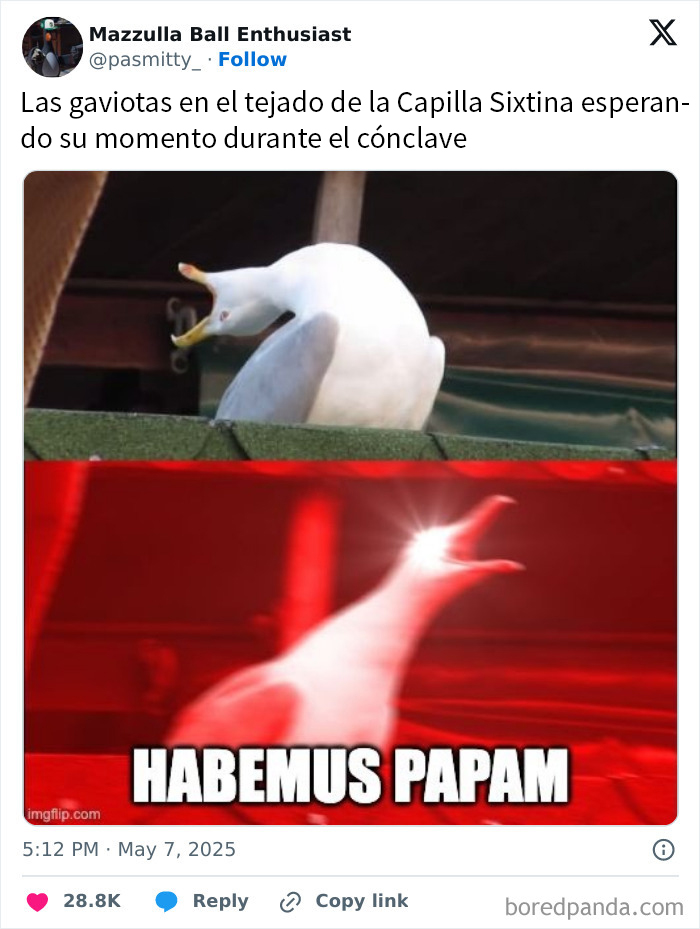 Gaviotas cómicas en el tejado de la Capilla Sixtina en meme divertido sobre el nuevo Papa con frase Habemus Papam.