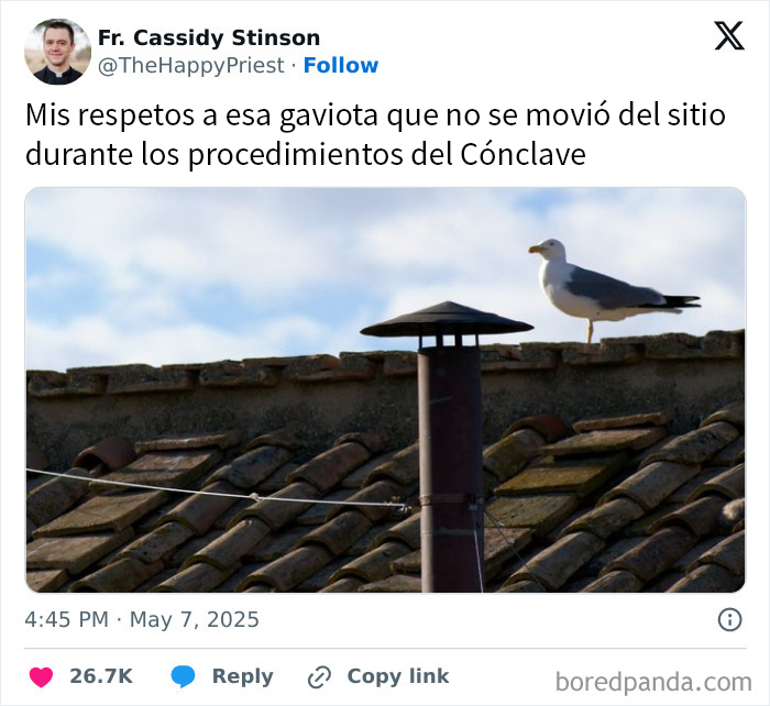 Gaviota posada en un techo durante el cónclave, imagen divertida relacionada con memes sobre el nuevo Papa.