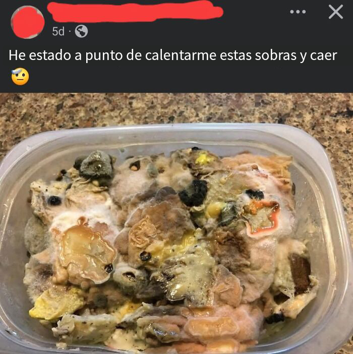 Comida en sobras con moho y apariencia asquerosa que causa repulsión y disgusto visual en personas.