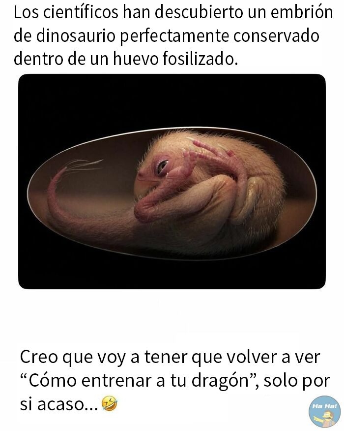 Embrion de dinosaurio dentro de huevo fosilizado con toque divertido en publicaciones que se burlan de todo y de todos.