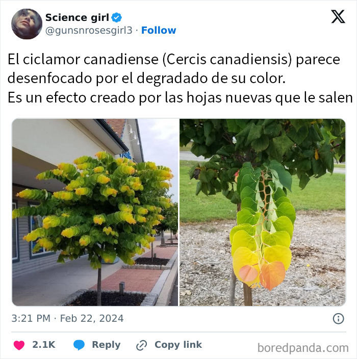 20 Publicaciones reconfortantes para alegrarte un poco el día