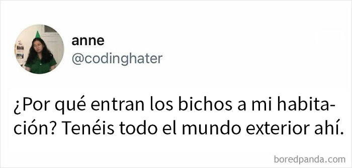 Meme divertido en español sobre bichos entrando a la habitación para olvidar la tristeza con humor cotidiano y sencillo.