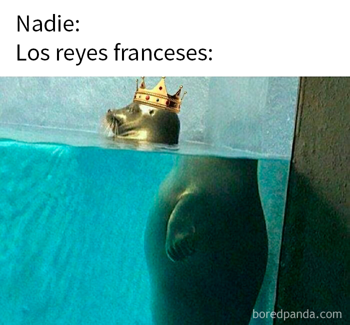 Foca con corona representando a reyes franceses, meme divertido que explica la historia de forma distinta a los libros.