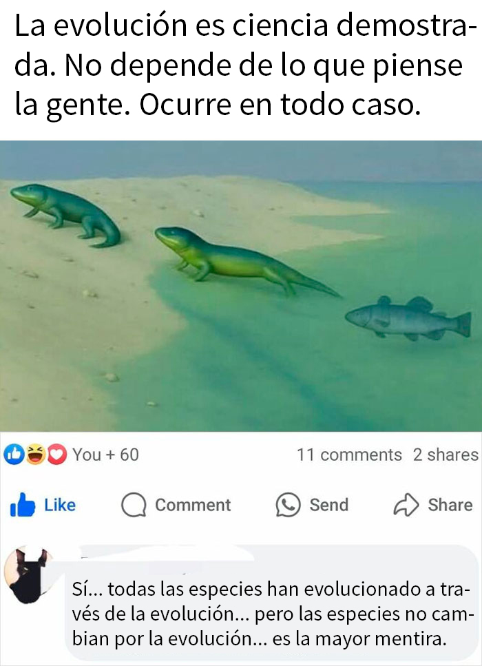 Animales en proceso de evolución demostrando que las correcciones sobre la evolución deben pensarse dos veces.