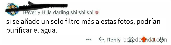 Tuit con un insulto salvaje encontrado en Internet, con humor sarcástico sobre fotos que podrían purificar el agua.