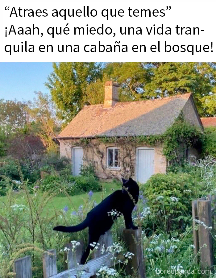 20 Divertidos memes que harán reír a todos los introvertidos (nuevas imágenes)