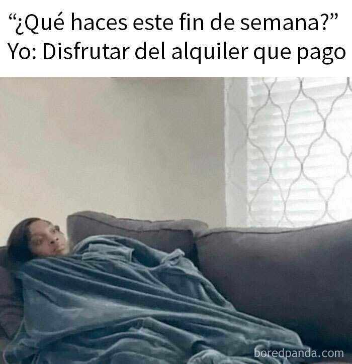 20 Divertidos memes que harán reír a todos los introvertidos (nuevas imágenes)