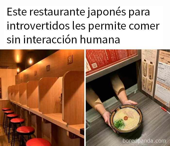 20 Divertidos memes que harán reír a todos los introvertidos (nuevas imágenes)