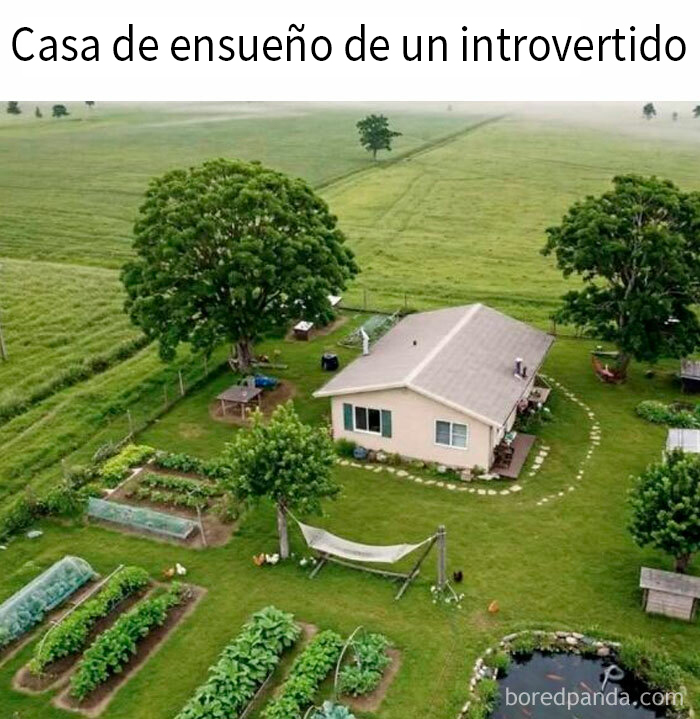 20 Divertidos memes que harán reír a todos los introvertidos (nuevas imágenes)