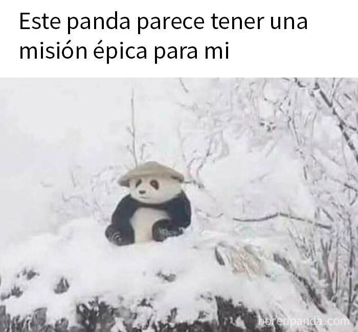 Panda con sombrero en paisaje nevado, imagen divertida relacionada con humor para hombres en redes sociales.