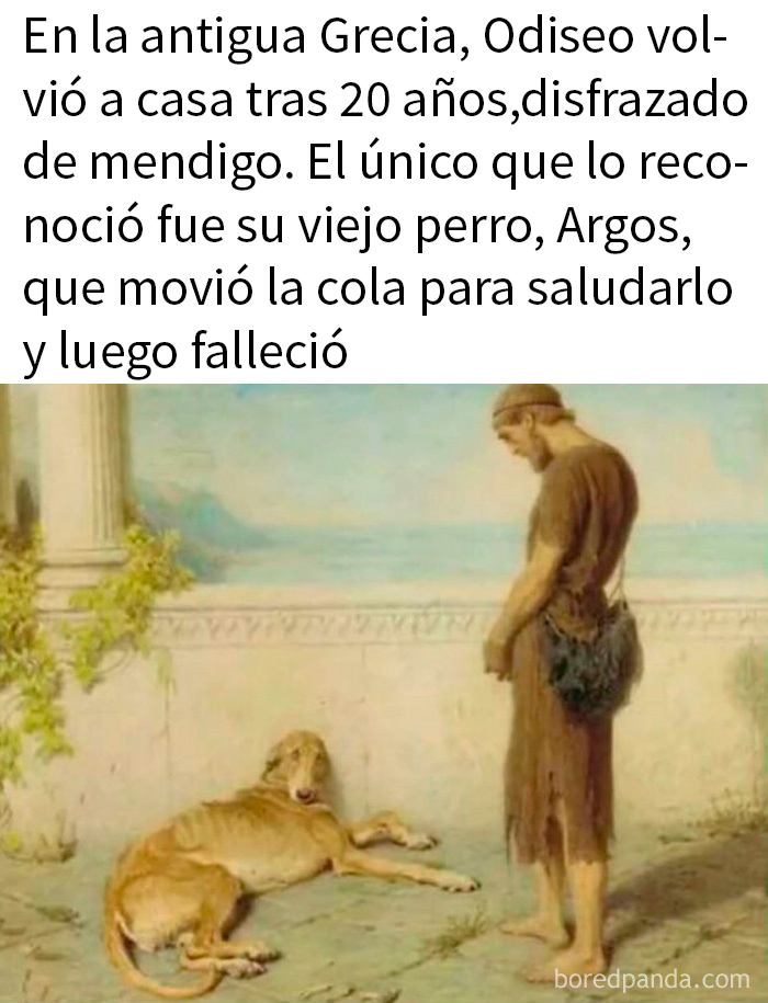 Hombre vestido de mendigo junto a perro viejo recostado, imagen con humor para hombres sobre historia de Odiseo en Grecia antigua.