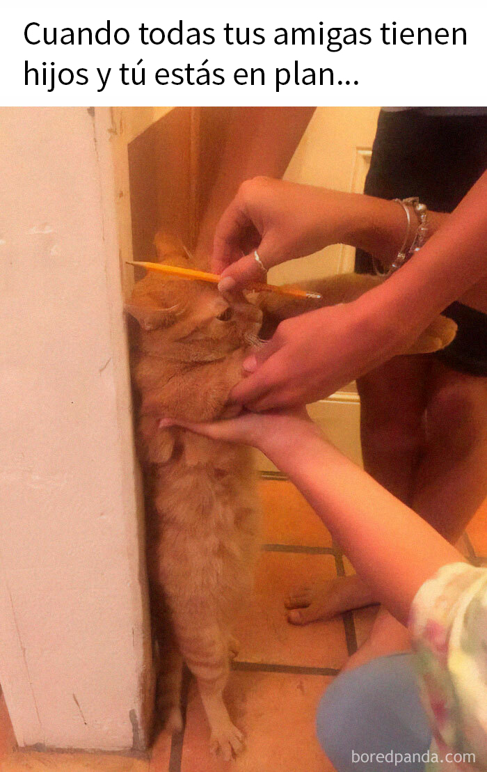 20 Divertidos memes que ojear cuando no tengas otra cosa que hacer