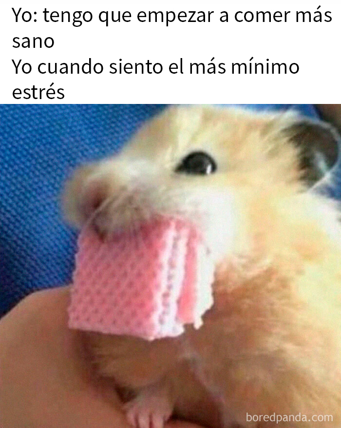 20 Divertidos memes que ojear cuando no tengas otra cosa que hacer