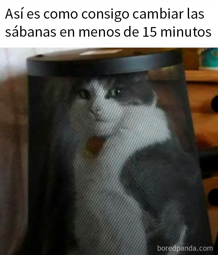 20 Divertidos memes que ojear cuando no tengas otra cosa que hacer
