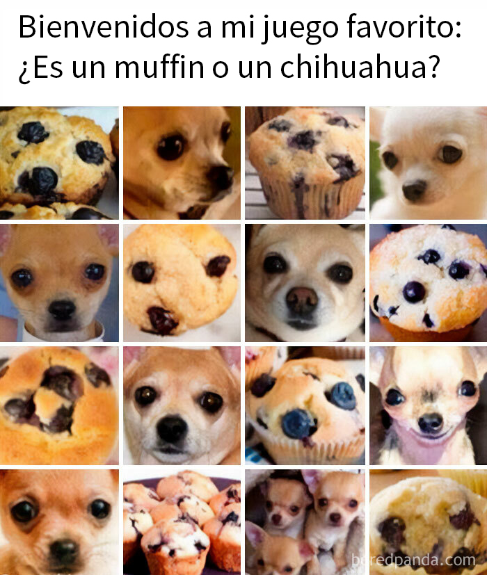 20 Divertidos memes que ojear cuando no tengas otra cosa que hacer