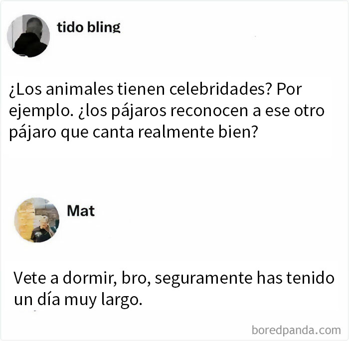 Memes sarcásticos sobre animales y celebridades con respuestas ingeniosas y humor que dominan el sarcasmo.