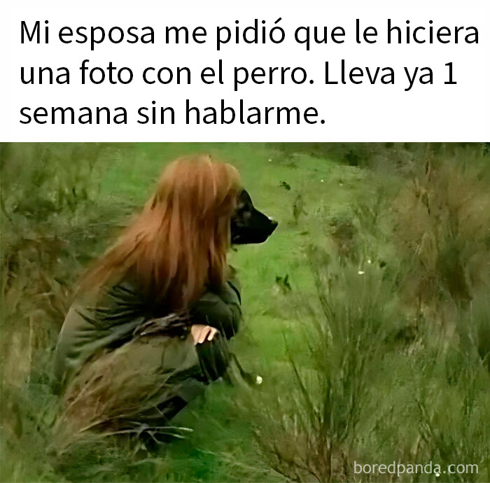 Persona con boca de perro agachada en campo verde, mostrando humor sarcástico relacionado con memes y sarcasmo.