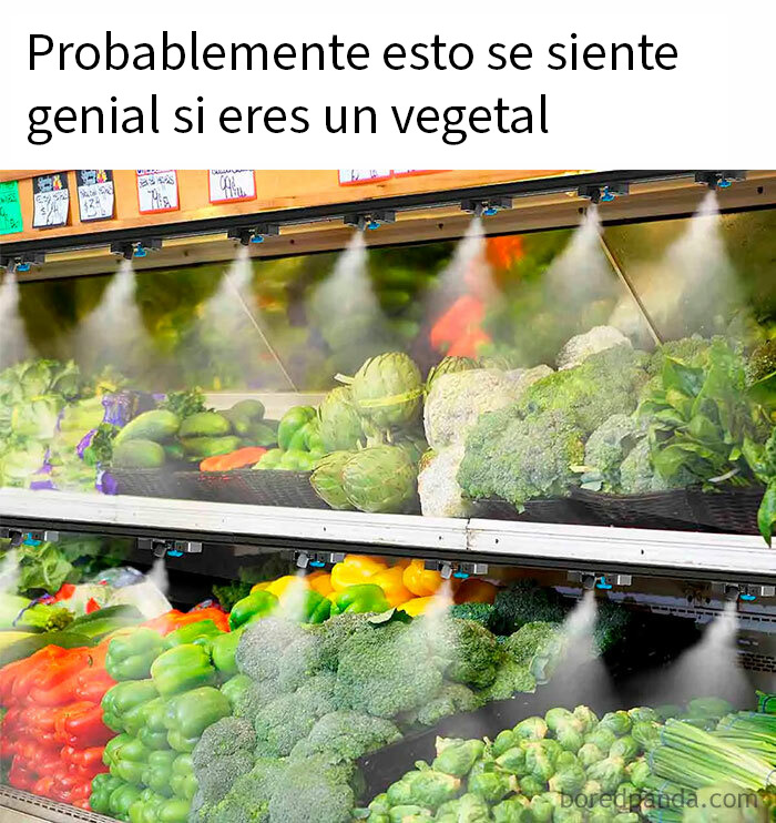 Estantes de supermercado con verduras frescas rociadas con agua, ideal para memes con sarcasmo y humor vegetal.