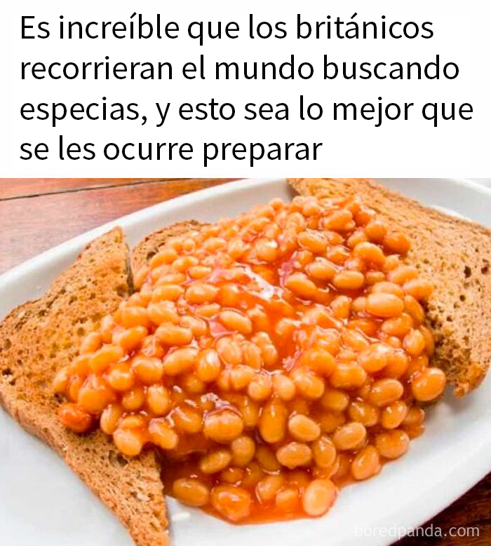 Plato con tostadas y frijoles en salsa, representando memes divertidos sobre la estupidez humana.