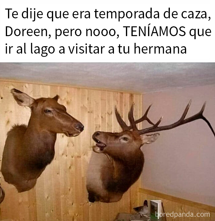 Cabezas de ciervo en pared con texto humorístico, representando memes divertidos sobre la estupidez humana en caza.