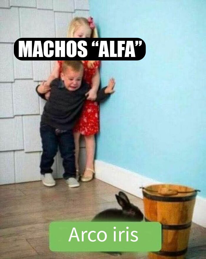 20 Personas comparten memes impactantes con humor y crudas verdades