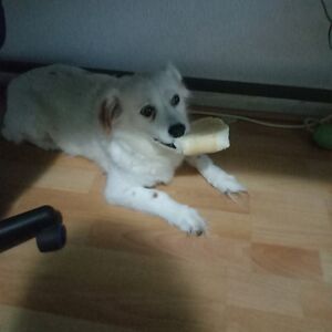 manerasdevivirviviendo avatar