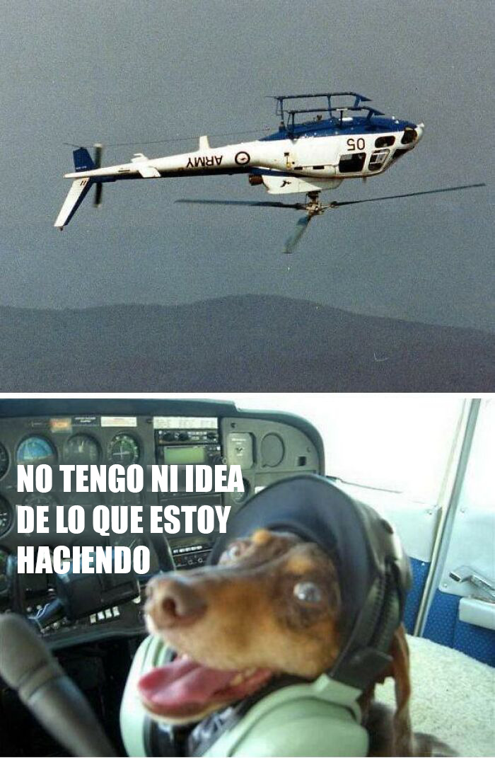 Helicóptero militar volando invertido y perro con auriculares en cabina, memes divertidos y sarcásticos de aviación.
