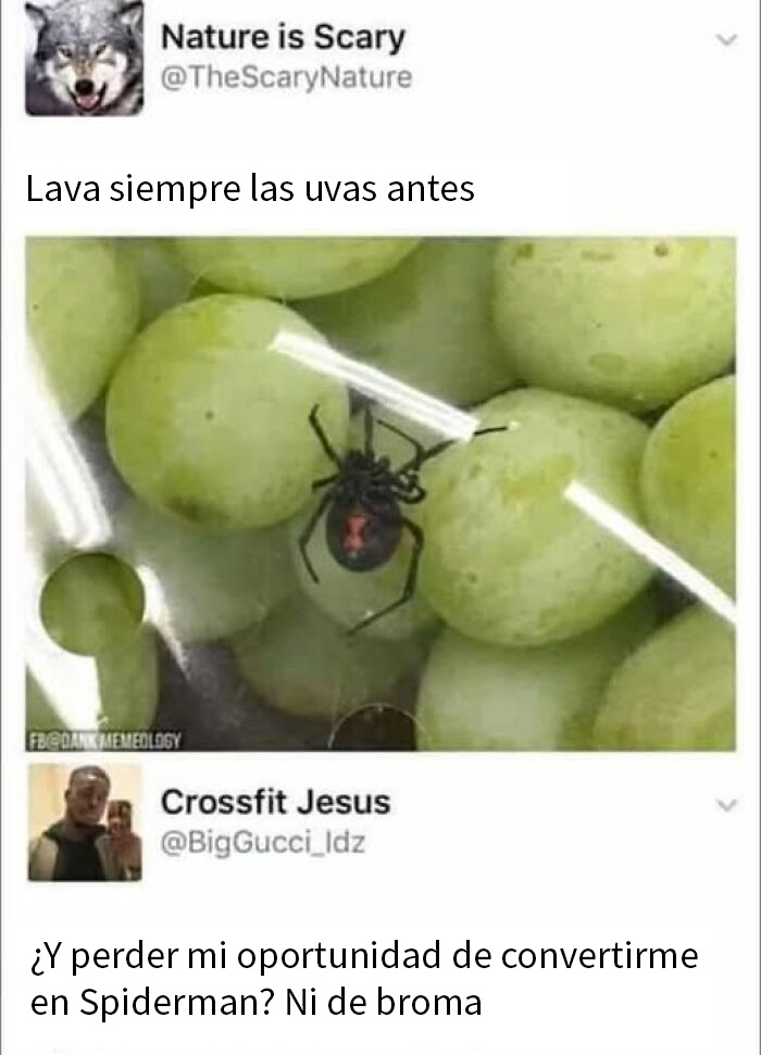 Araña negra sobre uvas verdes en meme divertido, parte de memes científicos que seguro que te hacen reír.
